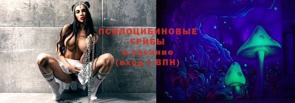 дмт Алексеевка