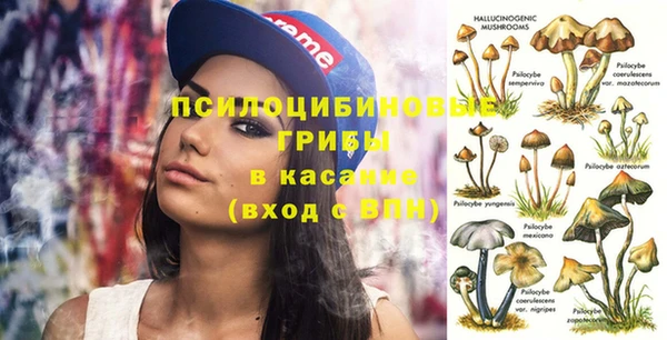 дмт Алексеевка