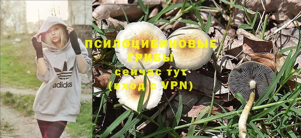 не бодяженный Алексин