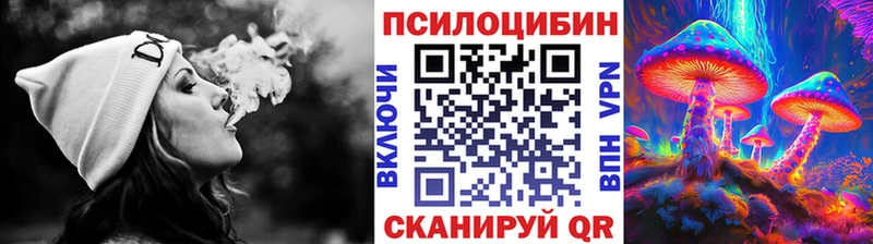 Псилоцибиновые грибы MAGIC MUSHROOMS Спасск-Рязанский